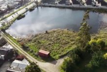 Municipalidad de Concepción suspende proyectos y entrega de permisos ad portas de declaración de Humedal Pichimapu