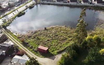 Municipalidad de Concepción suspende proyectos y entrega de permisos ad portas de declaración de Humedal Pichimapu