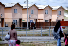 Hongos en pisos y paredes: denuncian construcción de viviendas sociales sobre un humedal en Valdivia
