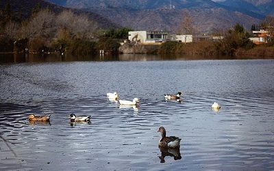 Segundo Tribunal Ambiental confirma freno a obras inmobiliarias en medio de declaración de humedal en Los Molles