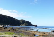 La isla de la discordia: Ubicada en Chiloé, fue puesta en venta en US$ 20 millones y ahora busca convertirse en una zona protegida por pueblos originarios