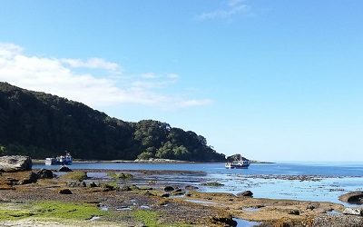 La isla de la discordia: Ubicada en Chiloé, fue puesta en venta en US$ 20 millones y ahora busca convertirse en una zona protegida por pueblos originarios