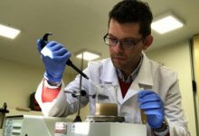 Científicos chilenos patentan hongo que acelera el trabajo de bacterias que recuperan cobre