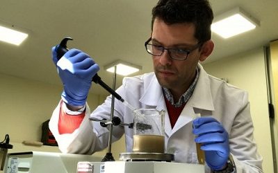 Científicos chilenos patentan hongo que acelera el trabajo de bacterias que recuperan cobre