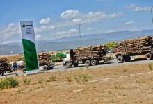 Arauco suspende las operaciones de siete unidades productivas por bloqueo de rutas en el sur