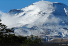 Rechazan la construcción de edificios en Parque Nacional Puyehue: está en espacio protegido