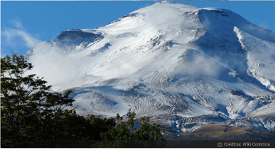 Rechazan la construcción de edificios en Parque Nacional Puyehue: está en espacio protegido