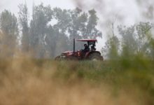 Suspensión de parcelaciones rurales: Gestores de loteos advierten impacto «gigantesco» y alertan alzas en precios de terrenos