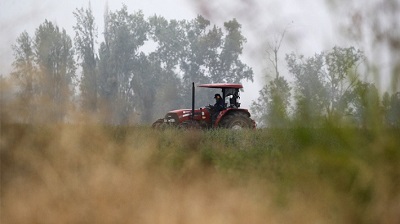 Suspensión de parcelaciones rurales: Gestores de loteos advierten impacto «gigantesco» y alertan alzas en precios de terrenos