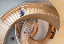 FAO ACENTÚA EL POTENCIAL DE LA MADERA COMO HERRAMIENTA PARA UNA ECONOMÍA SOSTENIBLE Y A GRAN ESCALA EN EL MUNDO