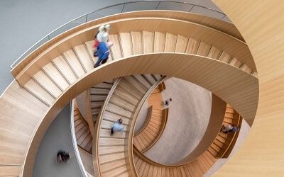 FAO ACENTÚA EL POTENCIAL DE LA MADERA COMO HERRAMIENTA PARA UNA ECONOMÍA SOSTENIBLE Y A GRAN ESCALA EN EL MUNDO
