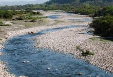 Valle de Ocoa está seco: Hay 300 agricultores en riesgo y acusan que «el Estado no se ha hecho cargo»