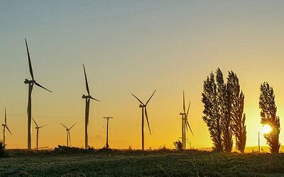 HIF y Enel Green Power retiran estudio de impacto ambiental de proyecto eólico por US$ 500 millones y apuntan a exigencias de la autoridad