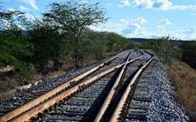 Ferrocarriles brasileños suman US$25.400 millones en inversiones
