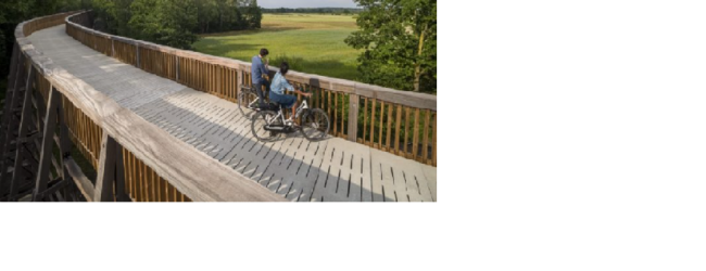 PUENTE CICLÍSTICO DE 300 METROS DE LARGO FUE CONSTRUIDO CON MADERA EN BÉLGICA