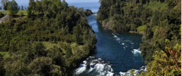 Abren licitación para potenciar turismo y visibilizar Parque Geológico Cordón Caulle en Lago Ranco