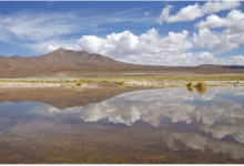 Responsabilidad con el medio ambiente: Empresas mineras enfocan sus buenas prácticas en esta temática