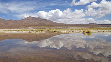 Responsabilidad con el medio ambiente: Empresas mineras enfocan sus buenas prácticas en esta temática