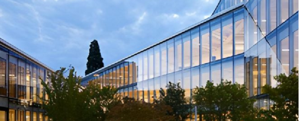 NUEVO EDIFICIO DE LA ONU EN GINEBRA USÓ ESTRUCTURAS DE MADERA PARA POTENCIAR EL BIENESTAR LABORAL Y LA CONEXIÓN CON LA NATURALEZA DE SUS TRABAJADORES