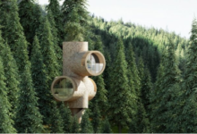 BERT: CASAS-ÁRBOL MODULARES DE CLT EN EL BOSQUE AUSTRÍACO