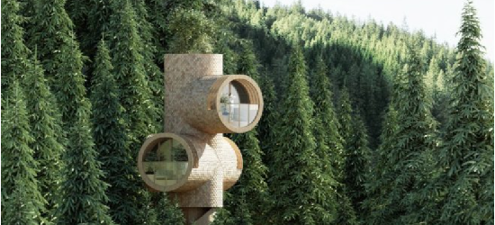 BERT: CASAS-ÁRBOL MODULARES DE CLT EN EL BOSQUE AUSTRÍACO