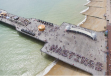 LA RENOVACIÓN DEL MUELLE DE HASTINGS FUE REALIZADA ÍNTEGRAMENTE EN CLT