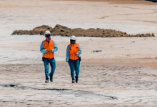 Líderes mineros asumen compromisos históricos para apoyar un futuro positivo para la naturaleza