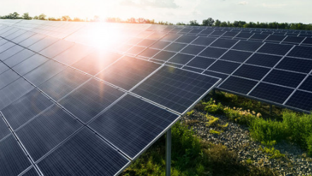 Leones Solar: Proyecto de FreePower Group implementa innovador modelo de optimización “detrás del medidor”