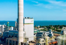 CMPC iniciará estudios para construir nueva planta de celulosa en Brasil por más de US$ 4.500 millones