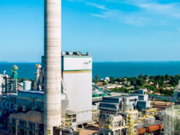 CMPC iniciará estudios para construir nueva planta de celulosa en Brasil por más de US$ 4.500 millones