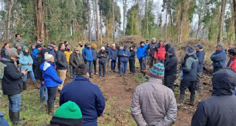 MANEJO RESPONSABLE DEL BOSQUE NATIVO E INNOVACIÓN EN CARPINTERÍA
