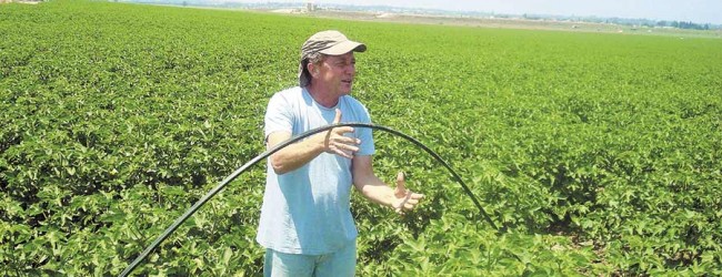 La receta israelí para el uso eficiente del agua
