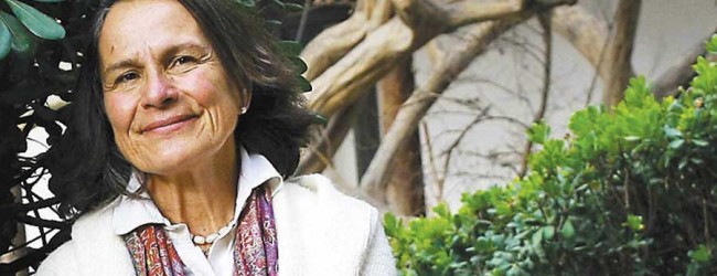 Presidenta del Colegio de Arquitectura: «Me parece relevante poner en valor la ética profesional»