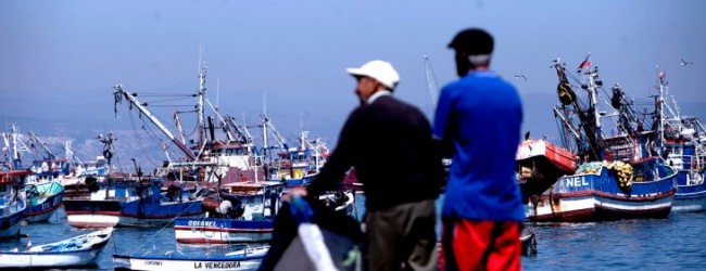 Cámara de Diputados aprueba proyecto de acuerdo para enfrentar crisis de la jibia