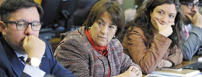 Proyecto de gratuidad se presentará antes de septiembre