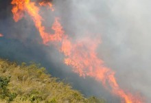 Más de 160 incendios por la ola de calor en Italia