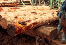 Conforman mesa técnica de fiscalización forestal en Valparaíso