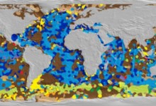 Científicos crean el primer mapa digital del fondo marino