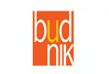 Inmobiliarias Sinergia, Proyecta y Sencorp se disputan terreno de tienda Budnik