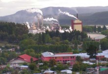 CMPC invertirá US$ 122 millones en planta de cartulinas en Maule
