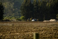 Presentan recurso para frenar obras de urbanización en Santuario de la Naturaleza de Tunquén