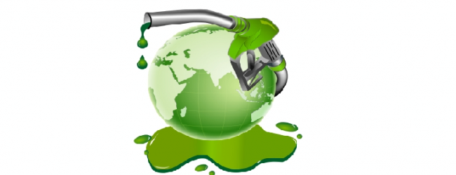 Metrogas convertirá residuos de ferias libres en biogás