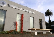 Tribunal Ambiental rechaza demanda contra Inmobiliaria y Municipalidad de Chillán