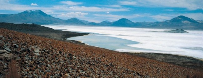 Funcionarios de Corfo inspeccionan pozos del Salar de Atacama