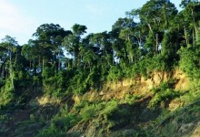 Indígenas retienen a turistas extranjeros por construcción de carretera en Perú