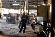 Autoridades anuncian incorporación de plan de seguridad de pequeña minería en Valparaíso