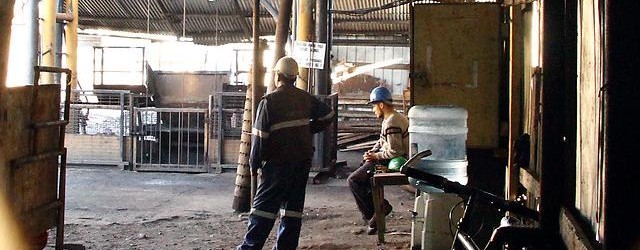 Autoridades anuncian incorporación de plan de seguridad de pequeña minería en Valparaíso