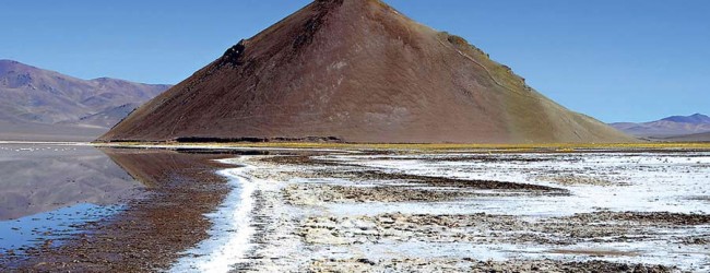 Codelco evalúa propuesta de Li3 de crear filial para explotar litio en Maricunga