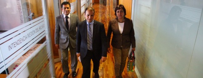 Gabinete regional del Bío Bío: PC mantiene seremi del Trabajo y PPD arriba a Minería