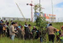 Realizan ceremonia mapuche en terreno donde se construirá el Hospital de Carahue